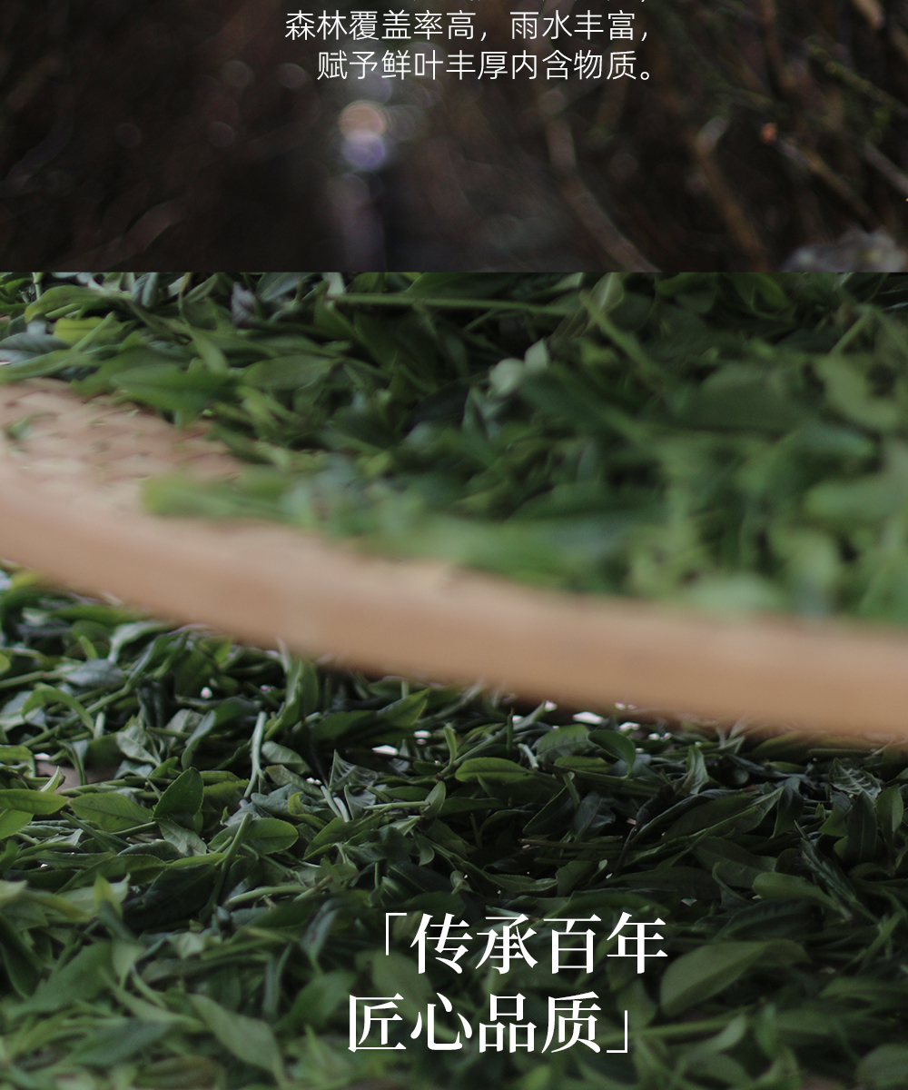 茶详情页_03.jpg